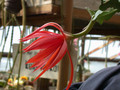 eh hunsrück charme x sylter fruehling 10