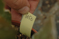 eh daola 6050 04