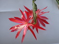 eh hunstueck charme x sylter fruehling 140