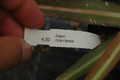 agave nizandensis 8670