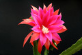 eh maria paetz 1019 6434