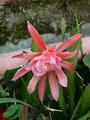 eh jutta 7290 02