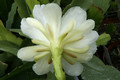 eh white magic 9730 8842