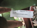 eh bruin 5430 27