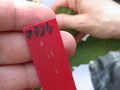 eh medallie d or 7734 falsch 156