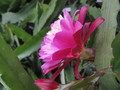 eh wilma paetz 1161 11