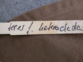 rhipsalis teres heteroclada 2029