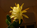 eh vista sun 9689 02