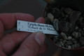 eh erhart de le metre uhlig 04