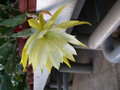 eh jennifer ann 7210 5396