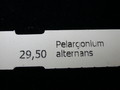 pelargonium alternans 987