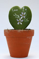 hoya kerrii bemalt 3869