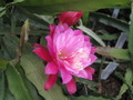 eh wilma paetz 1161 9