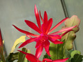 eh erfurter gartenschau 23 02