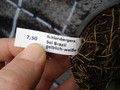 schlumbergera sol brazil 1605