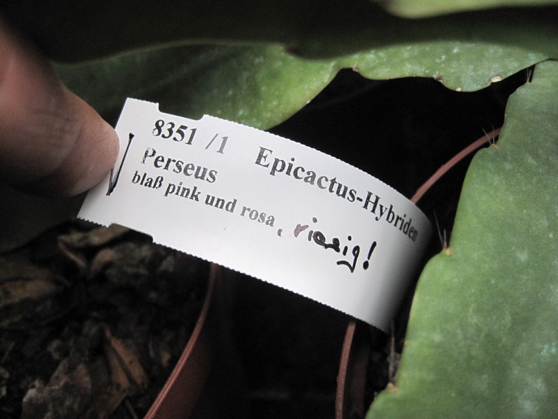 eh perseus 8351 9898