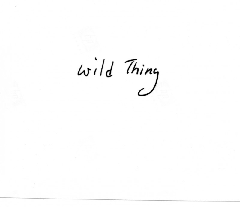 eh wild thing 60