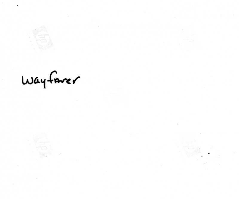 eh wayfarer 80
