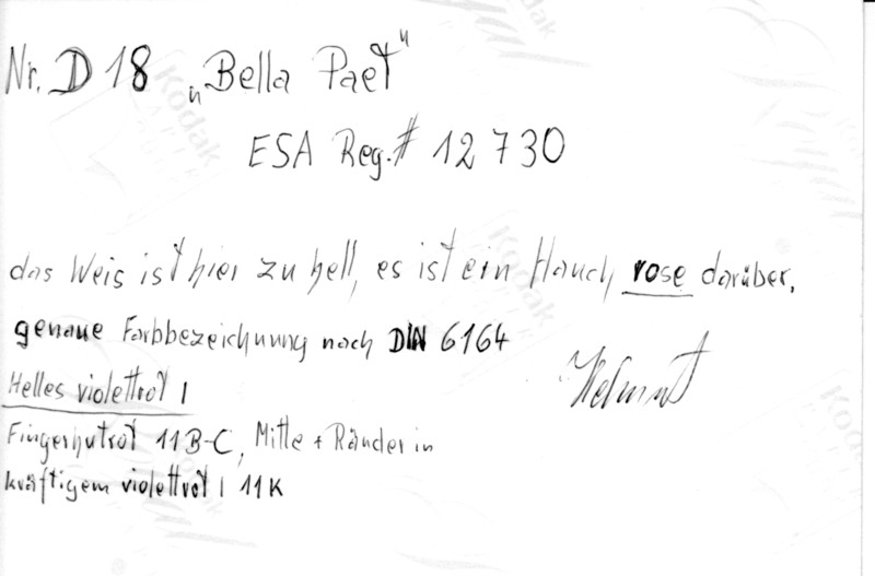 eh bella paetz 19