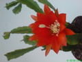 eh jose paetz 1035 199