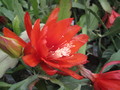 eh albolaza 5079 17