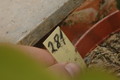 eh sachsenland 281 06