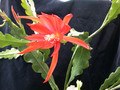 eh hunsrück charme x sylter fruehling 06