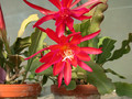 eh erfurter gartenschau 23 04