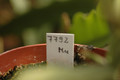 eh monastary garden 7792 04