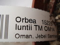 orbea luntii tmom14 7343