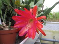 eh astrid paetz 1017 9973