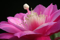 eh wilma paetz 1161 4367