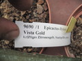 eh vista gold 9690 falsch 9922