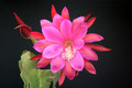 eh walter haage 301 7866