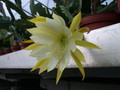 eh jennifer ann 7210 5397