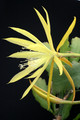 eh sylter fruehling 419 6903