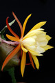 eh william clark 9770 5080