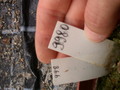 eh zola 9980 241