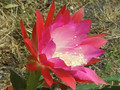 eh shauna 8936 0127