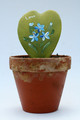 hoya kerrii bemalt 3870