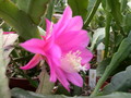 eh annika paetz 1022 5346