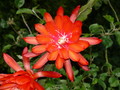 eh tien shan 01