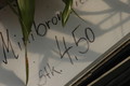 bromelien mini 1158