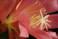 eh flirtation 6540 2012