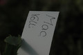schlumbergera mac 8182