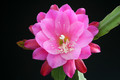 eh wilma paetz 1161 4359