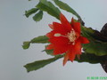 eh jose paetz 1035 200