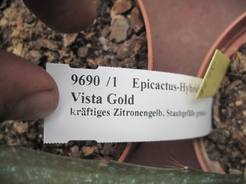 eh vista gold 9690 falsch 9922