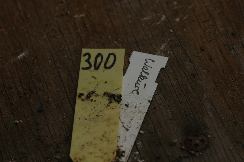 eh walkuere 300 08a