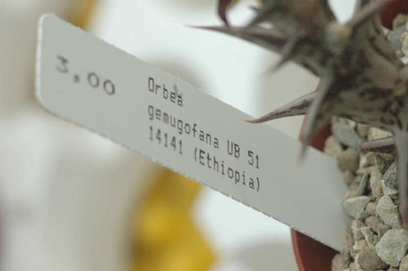 orbea gemugofana ub51 03